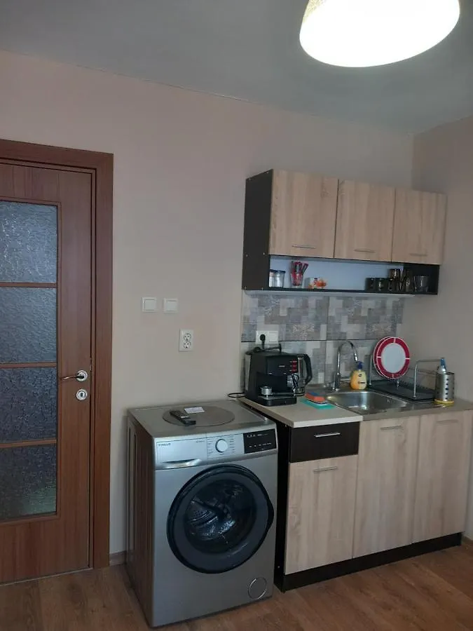 Sea Central Apartment 布尔加斯